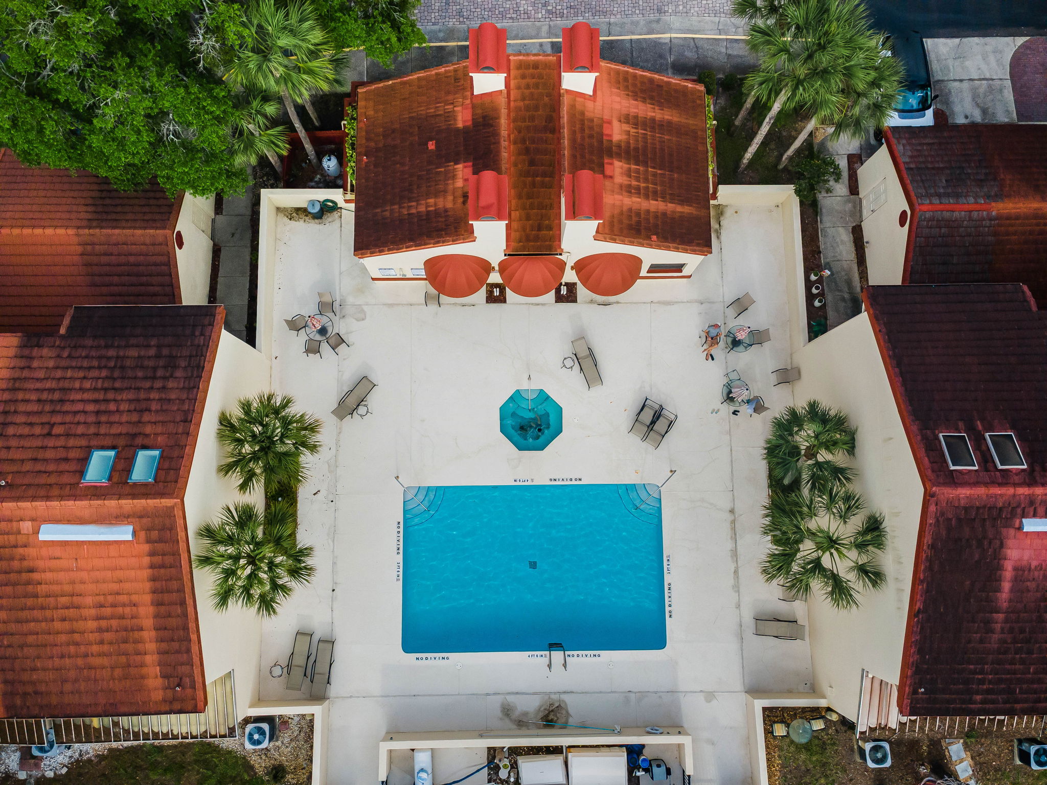 16-Countryside Woods