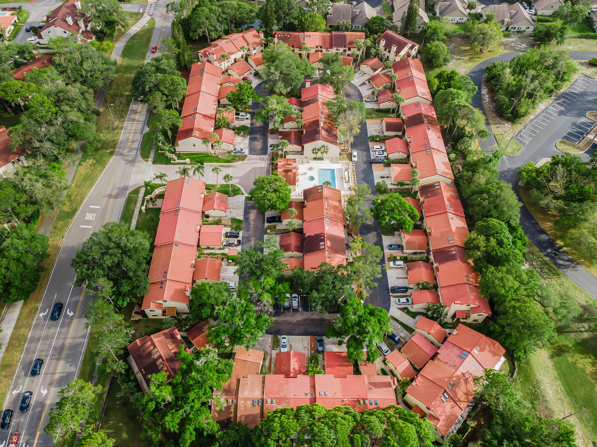 19-Countryside Woods