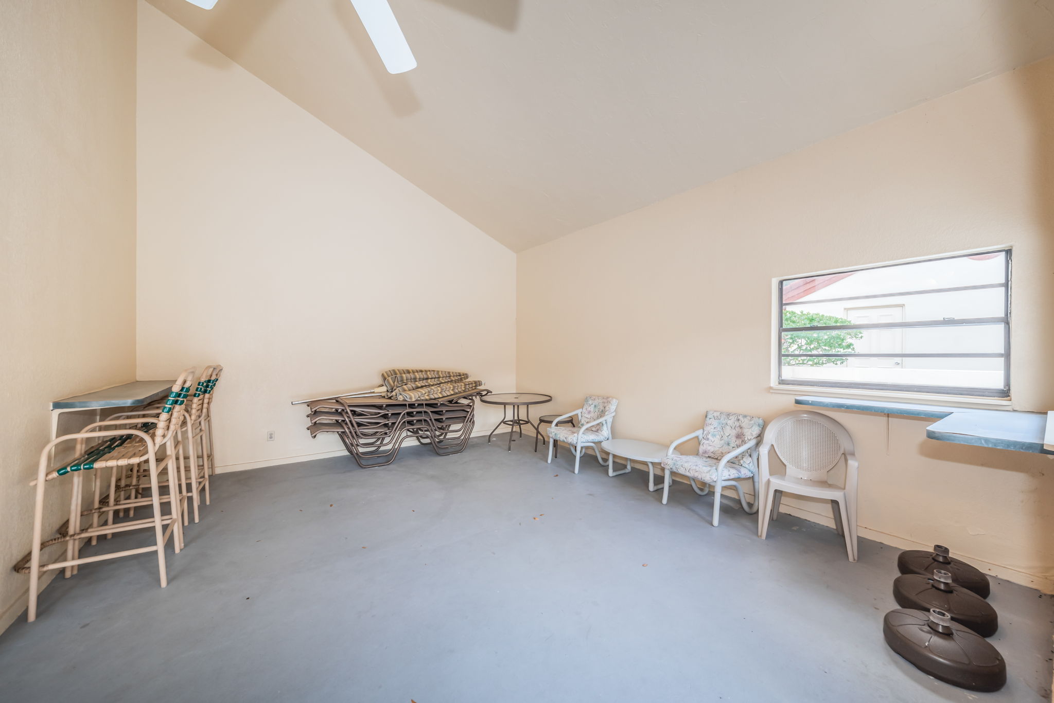 11-Countryside Woods