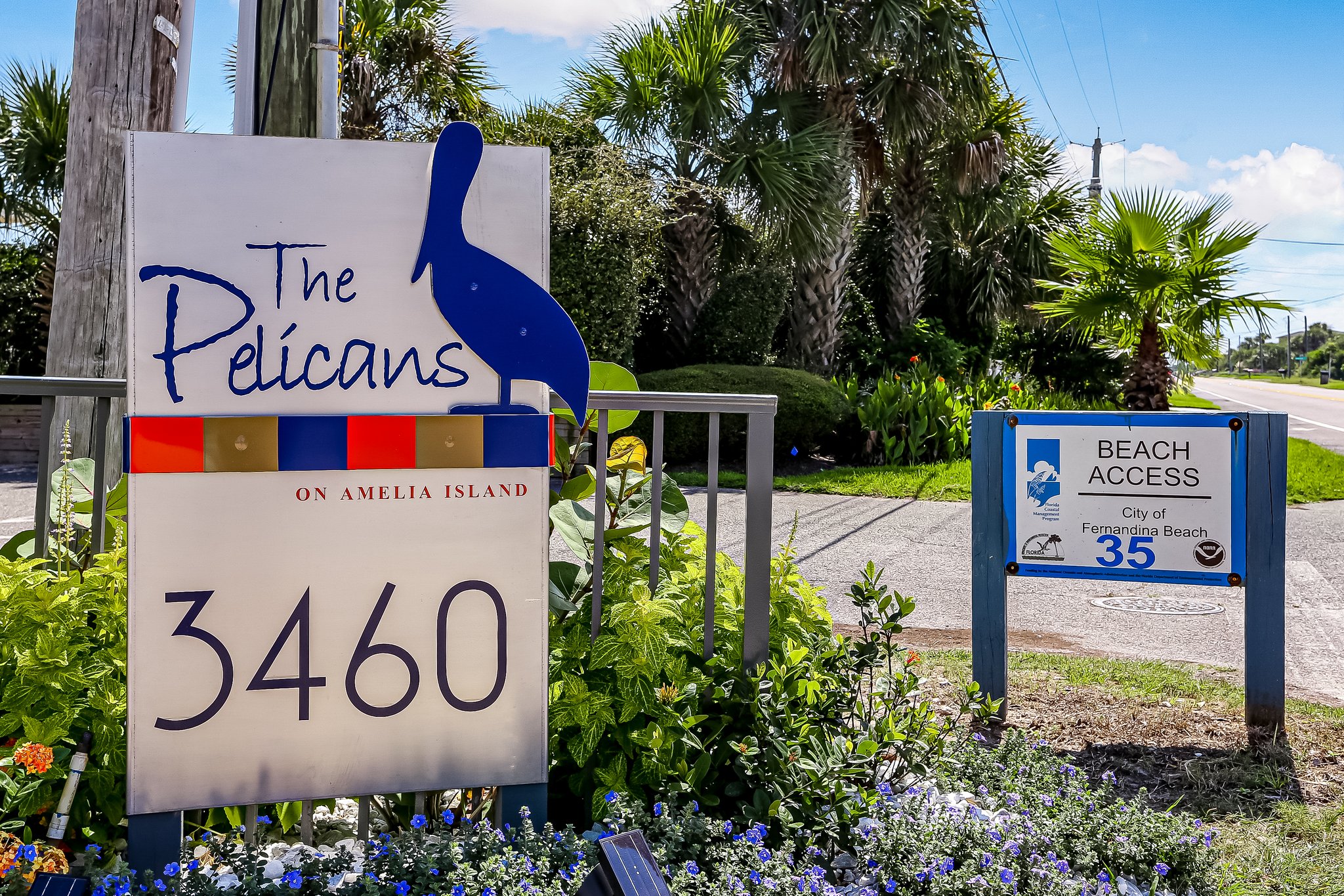 The Pelicans