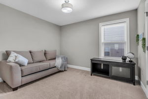3460 Willow Green Drive-73