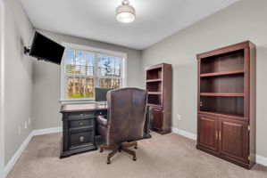 3460 Willow Green Drive-101
