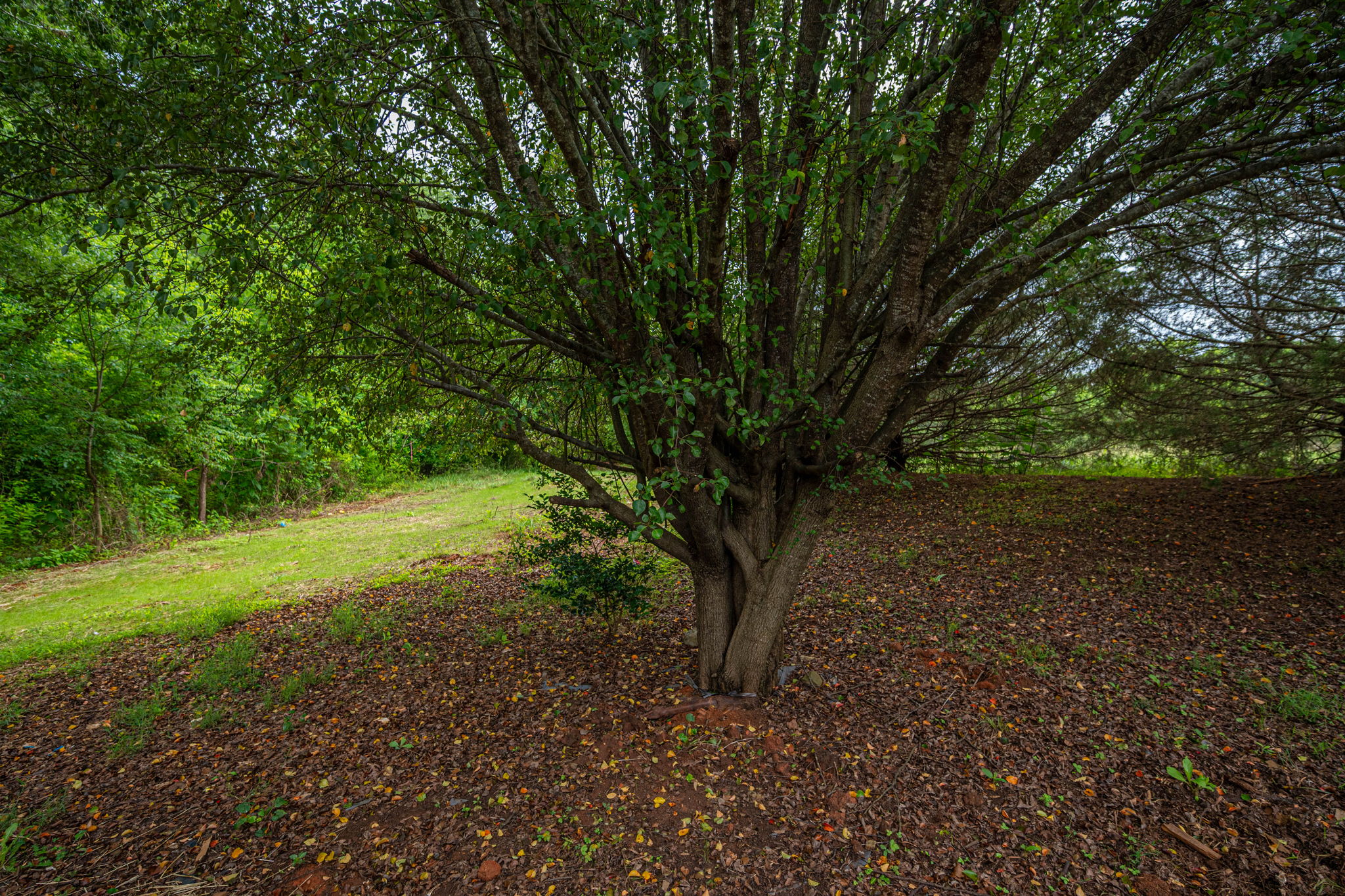  Photo 48