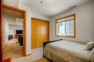Lower Level - Bedroom