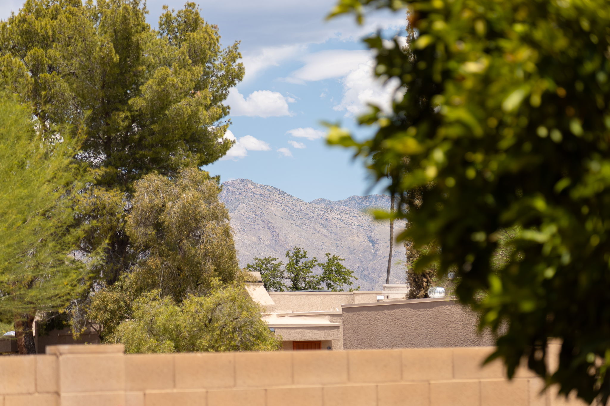 Catalina Mountain Views