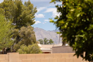 Catalina Mountain Views