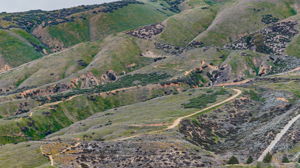  Photo 49