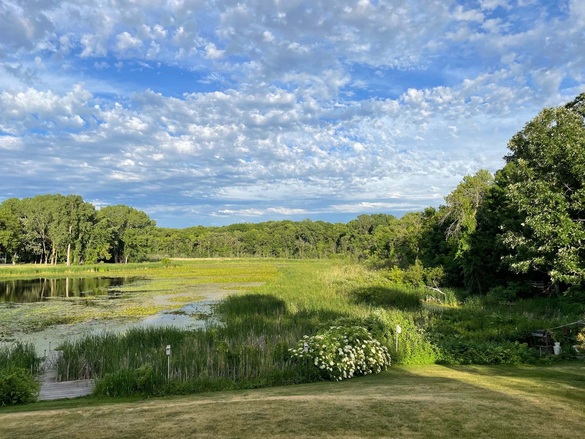 Lake View