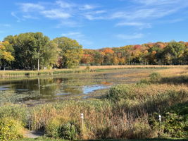 Fall View