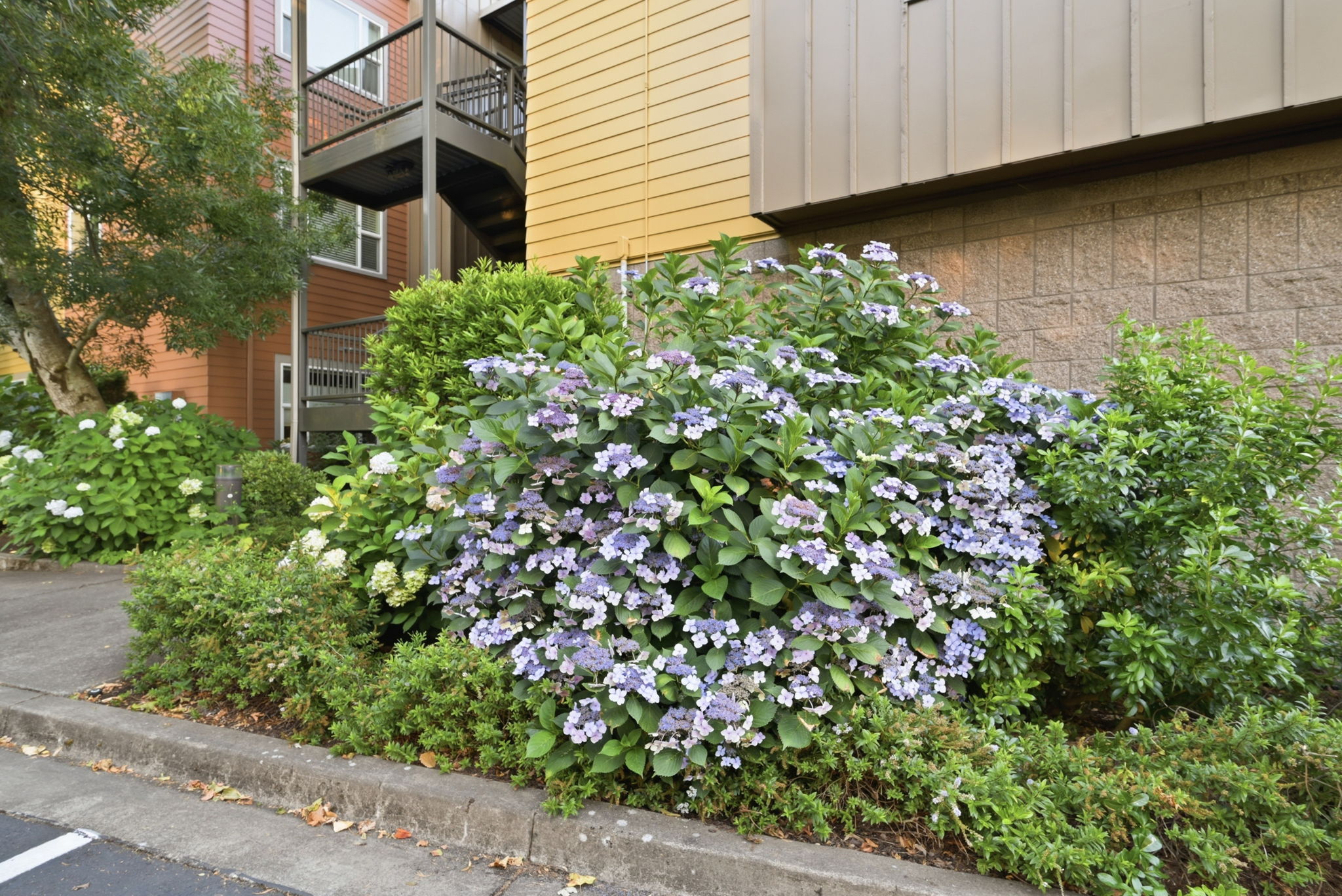  Photo 40