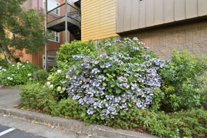  Photo 39