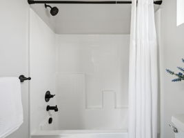  Photo 49