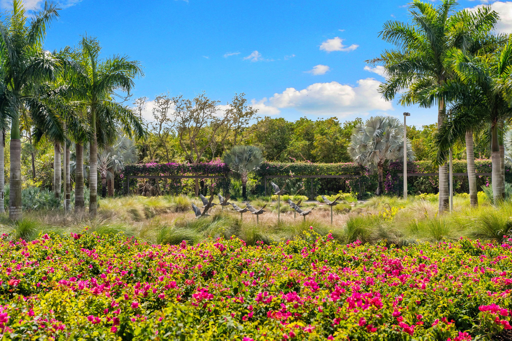 Gorgeous Landscaping