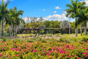 Gorgeous Landscaping