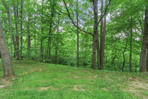  Photo 49
