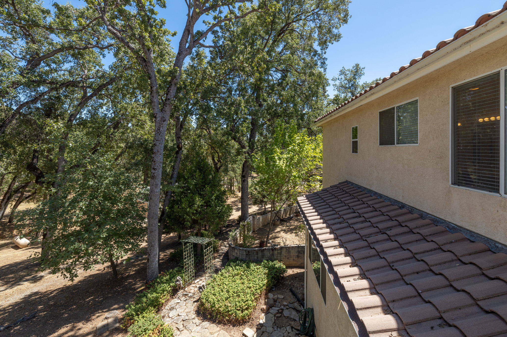 Master Patio View