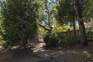 Photo 39