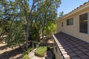 Master Patio View