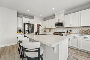 Hibiscus St-028.jpg