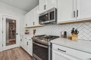 Hibiscus St-032.jpg
