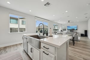 Hibiscus St-034.jpg