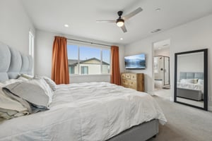 Hibiscus St-041.jpg