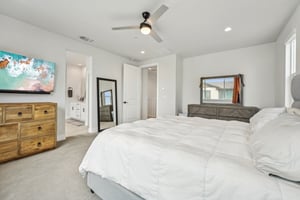 Hibiscus St-043.jpg