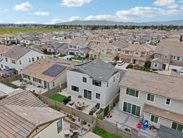 Hibiscus St-104.jpg