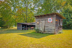  Photo 43