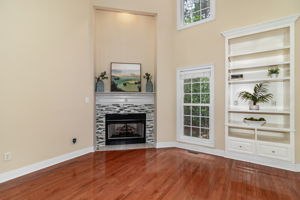 Living Room Fireplace