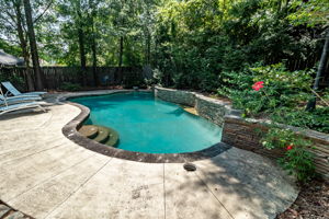 Back Yard/Pool