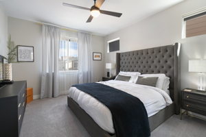 3493 Mykonos Dr, Castle Rock, CO 80109, USA Photo 18