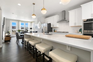 3493 Mykonos Dr, Castle Rock, CO 80109, USA Photo 6