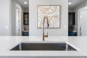 3493 Mykonos Dr, Castle Rock, CO 80109, USA Photo 9