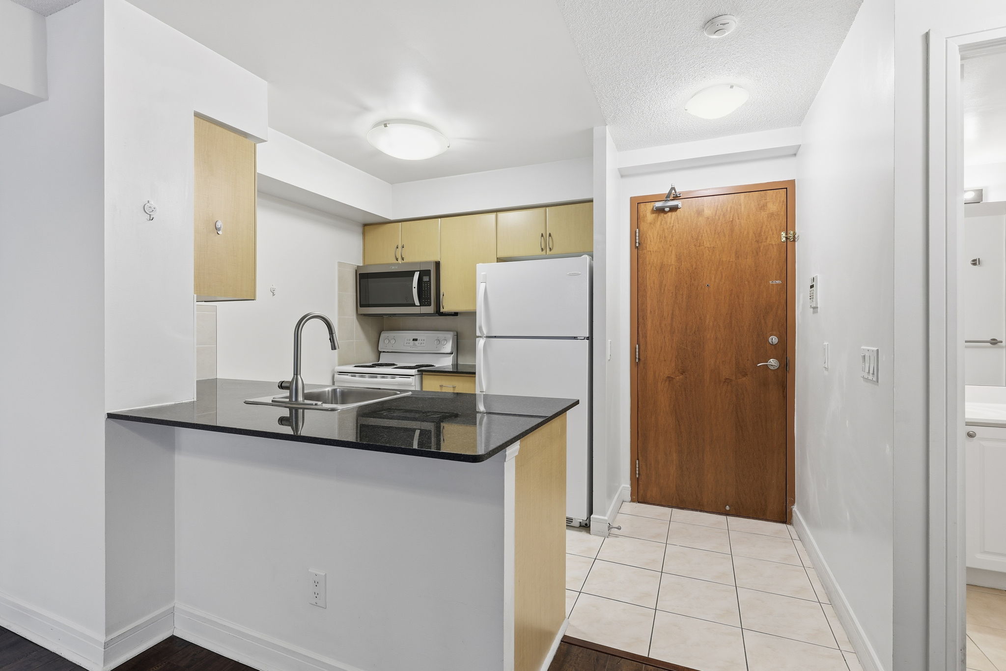 Toronto property showcase — delivered property photograph 18