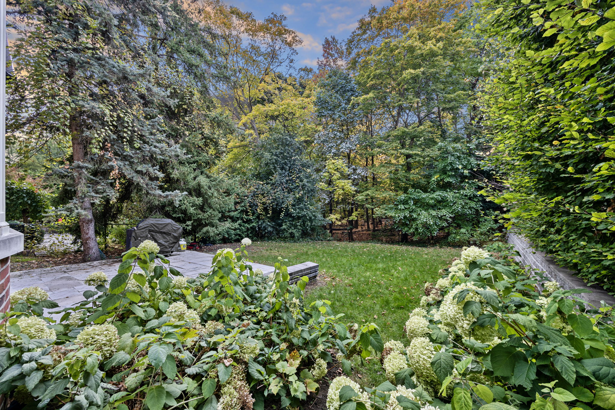 Toronto property showcase — delivered property photograph 17