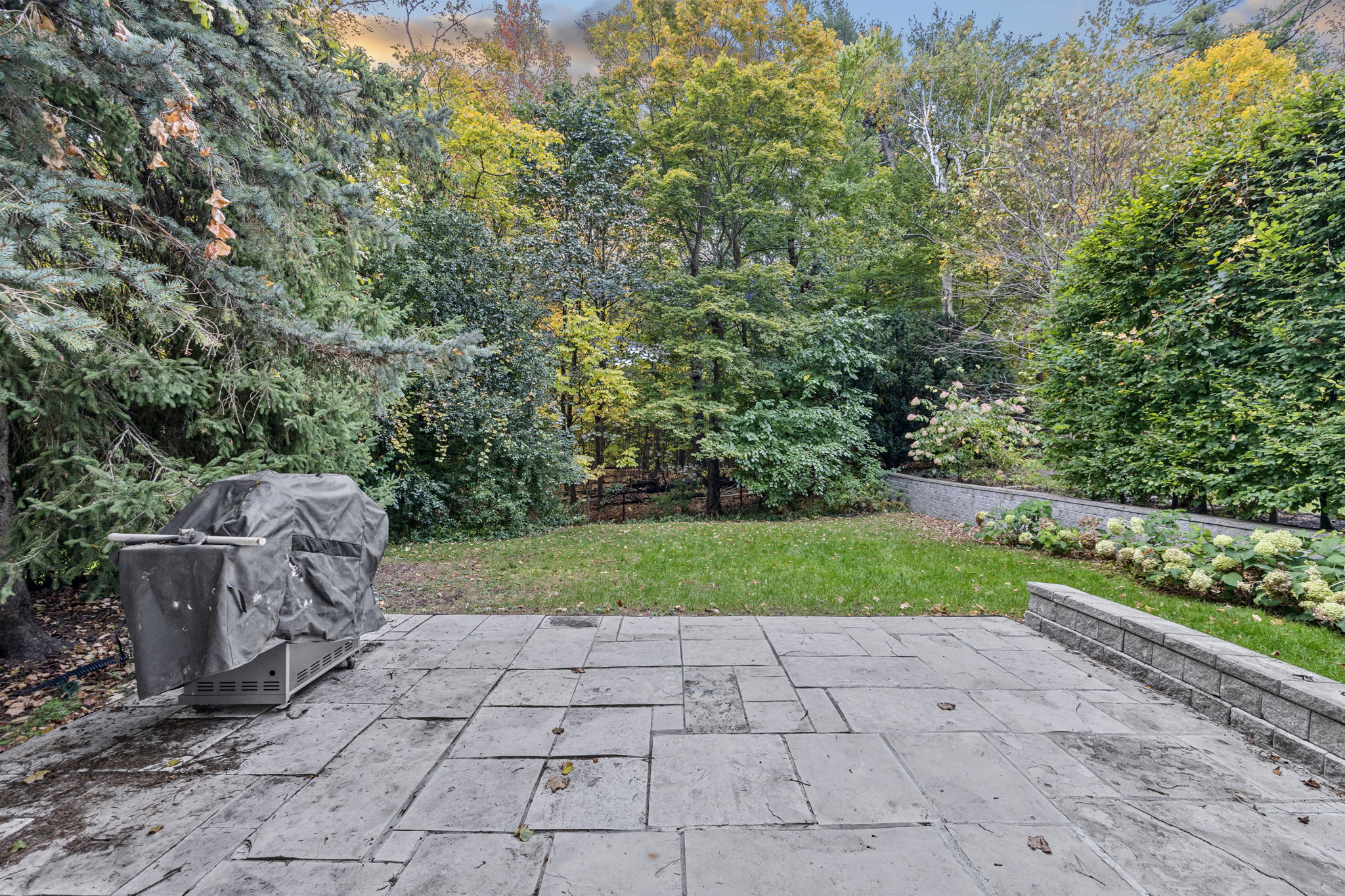 Toronto property showcase — delivered property photograph 8