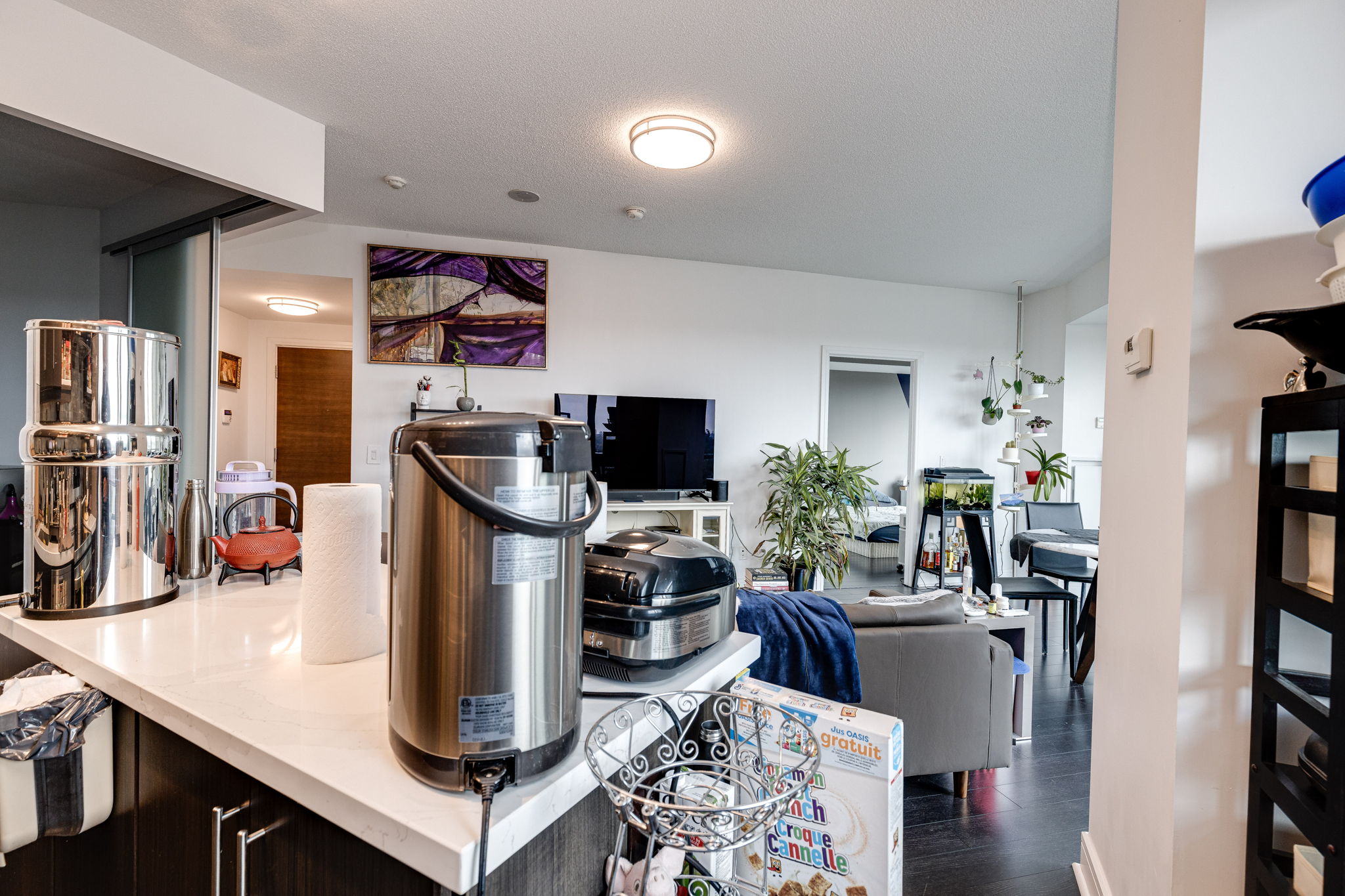 Toronto property showcase — delivered property photograph 6