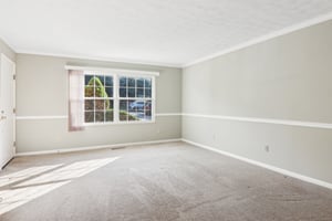 Capri Ln 11 c-014.jpg