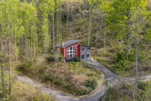  Photo 43
