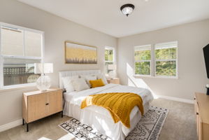 Downstairs Bedroom