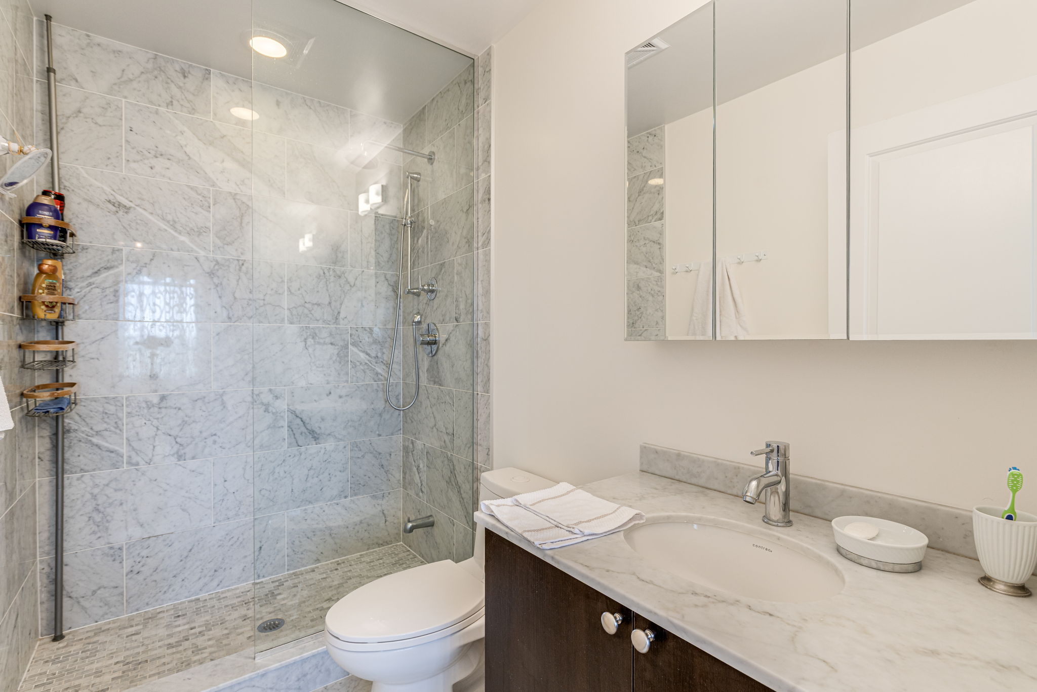 Toronto property showcase — delivered property photograph 23