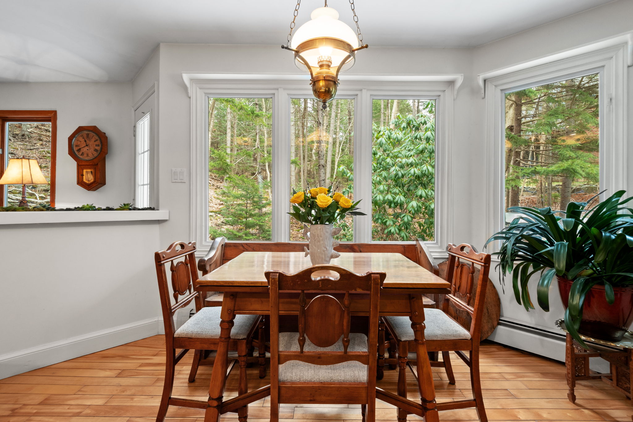  Photo 22