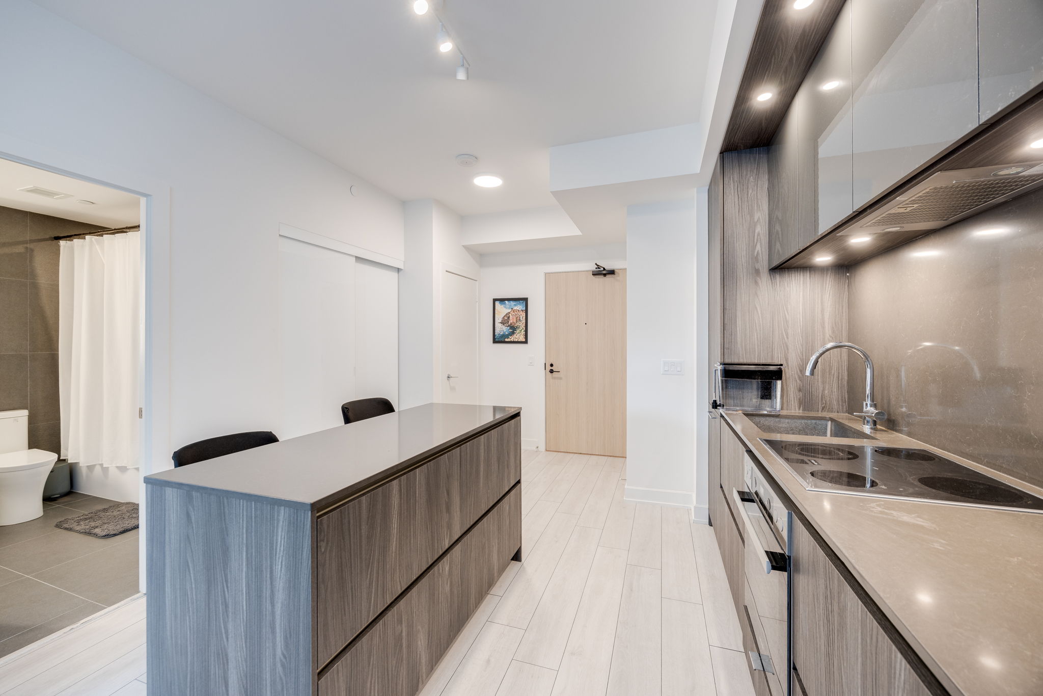 Toronto property showcase — delivered property photograph 11