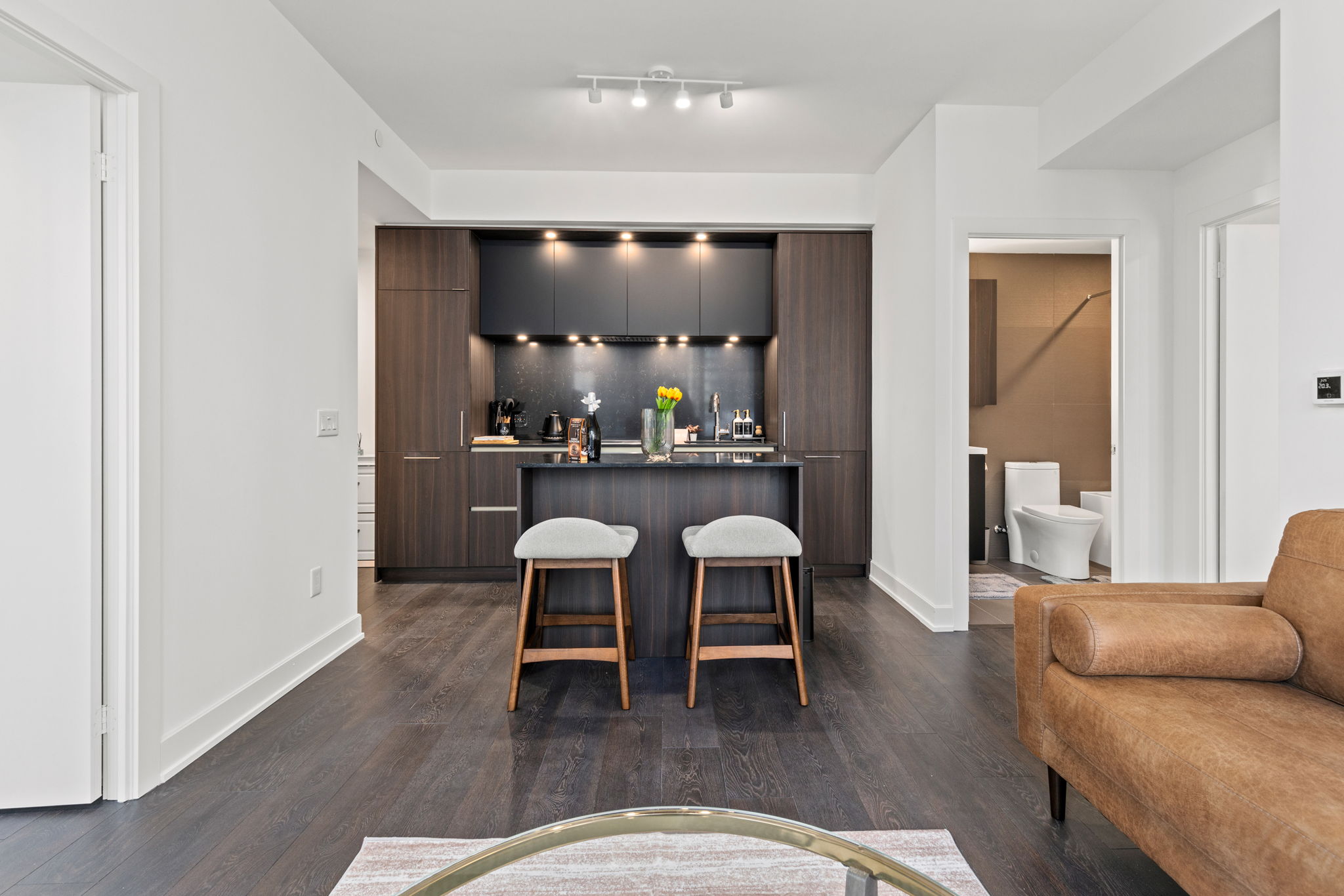 Toronto property showcase — delivered property photograph 3