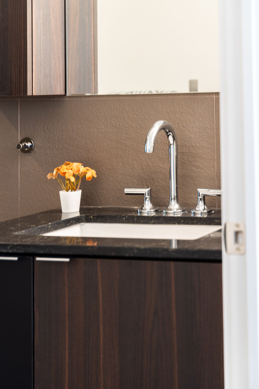 Toronto property showcase — delivered property photograph 19
