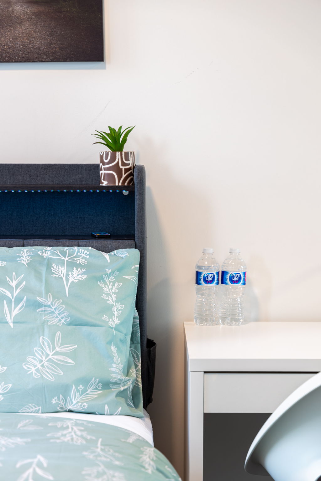 Toronto property showcase — delivered property photograph 21