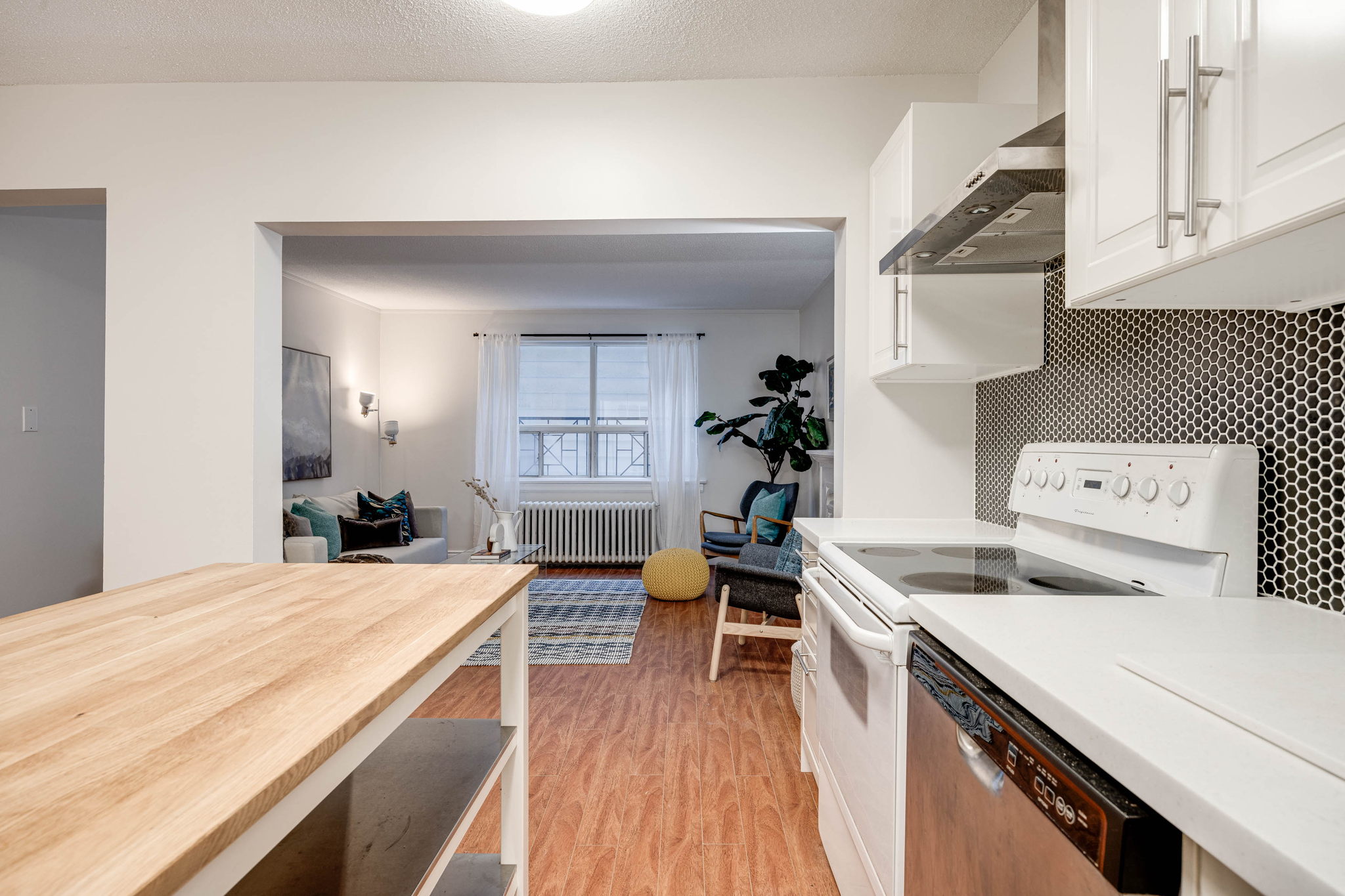 Toronto property showcase — delivered property photograph 12