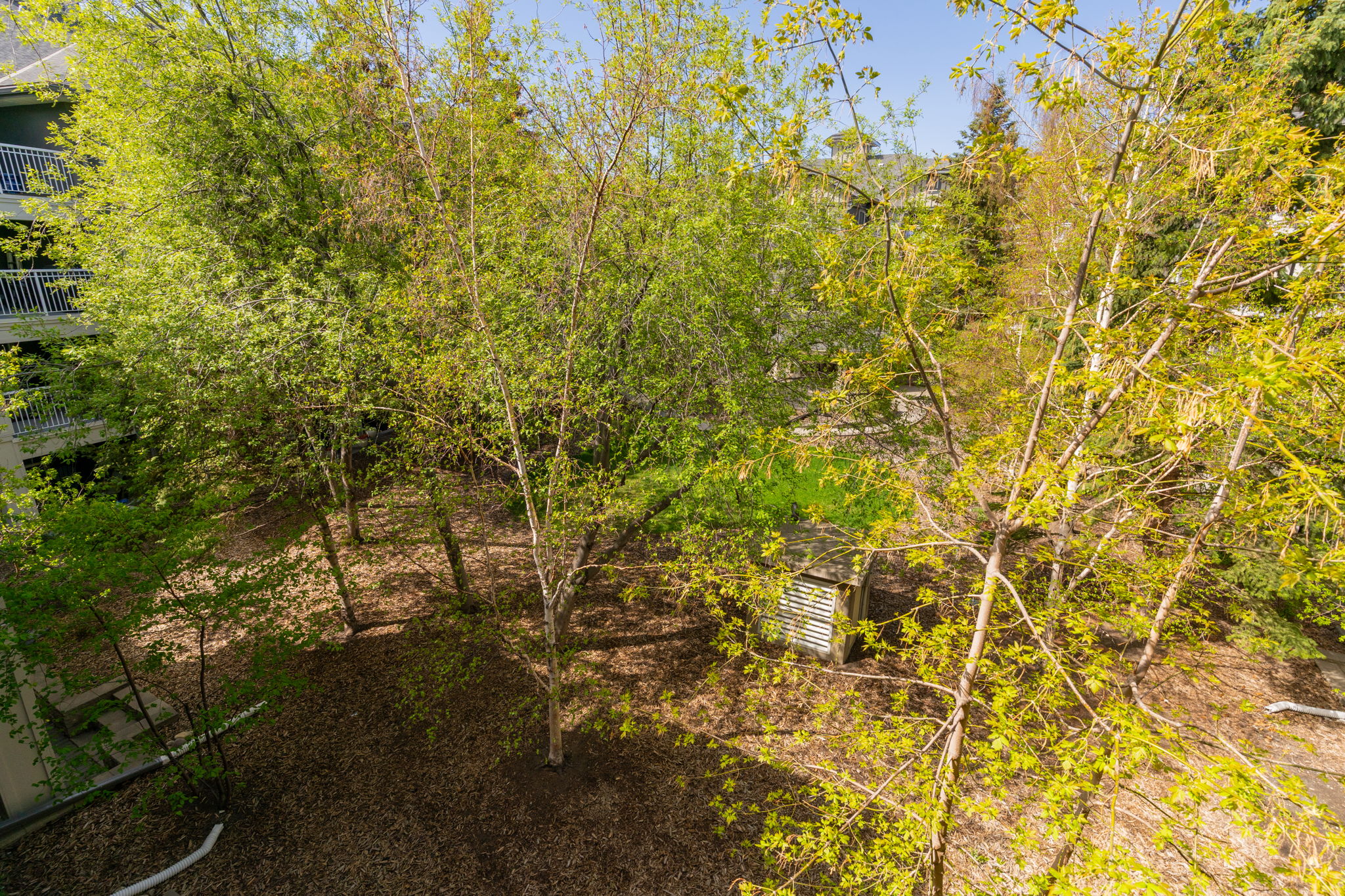  Photo 45