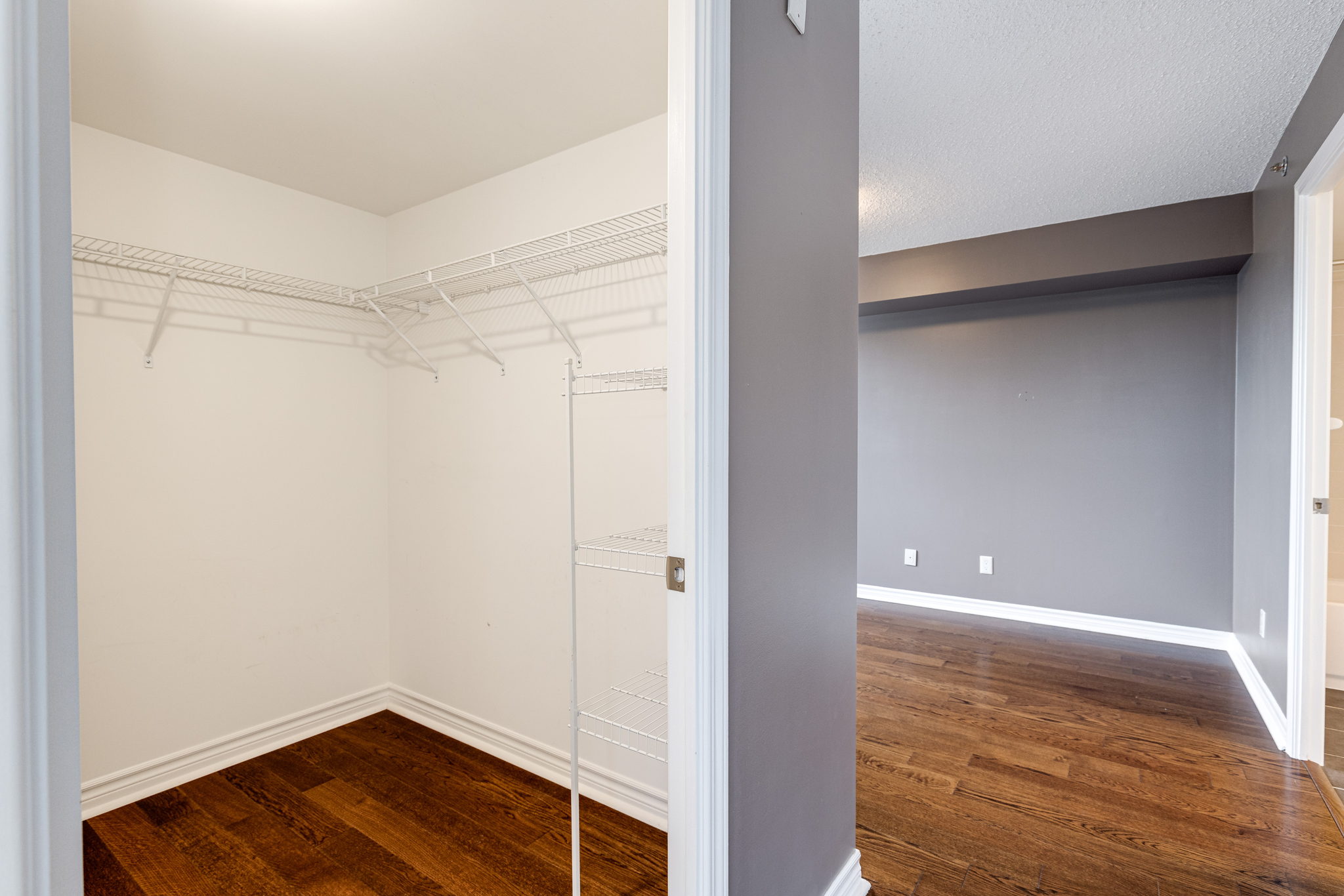 Toronto property showcase — delivered property photograph 14